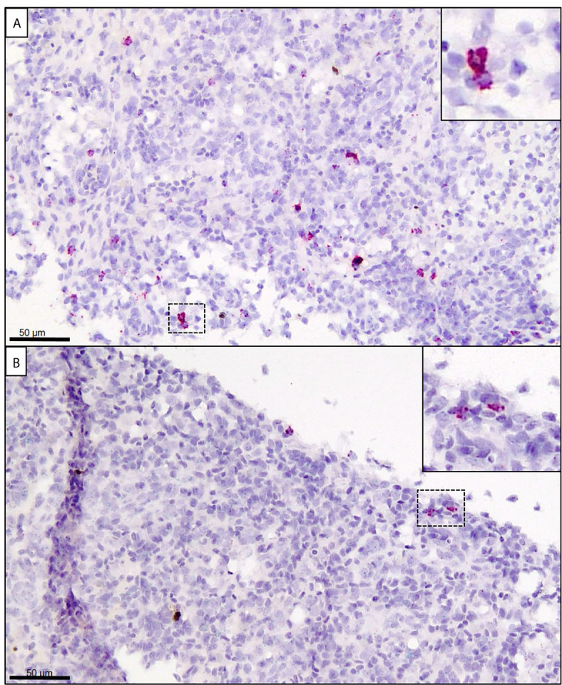 Figure 7