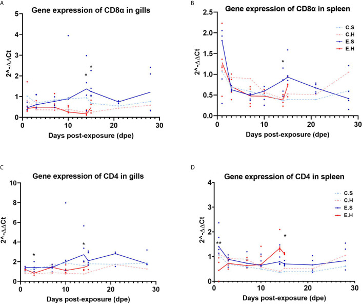 Figure 4