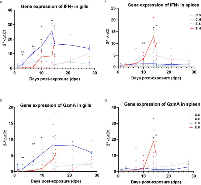 Figure 5