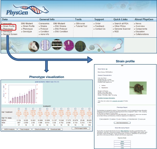 Figure 3: