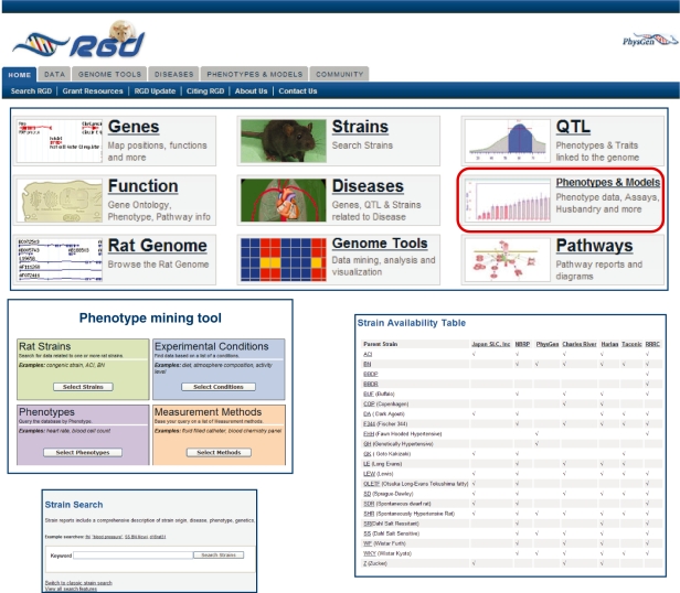 Figure 4: