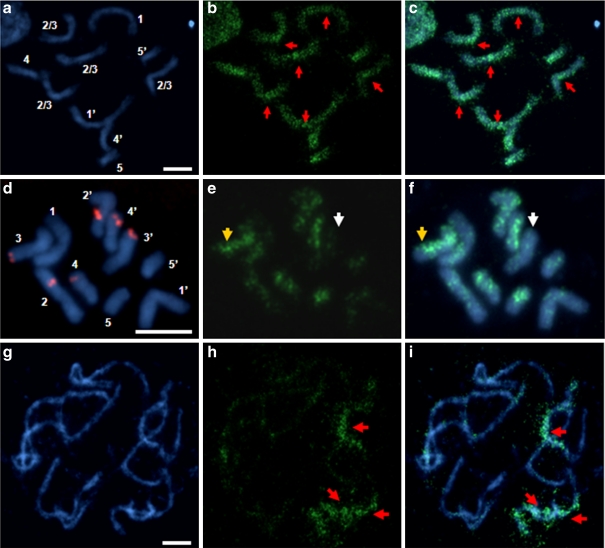 Fig. 4