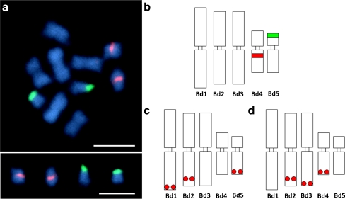 Fig. 1