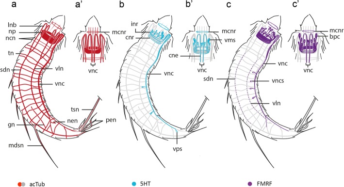 Fig. 7