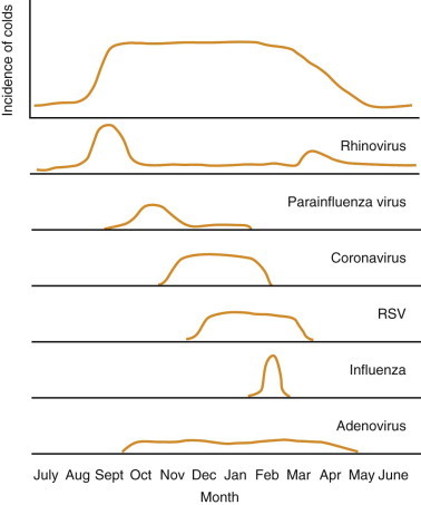 Figure 26-1