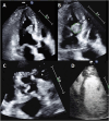 Fig. 5