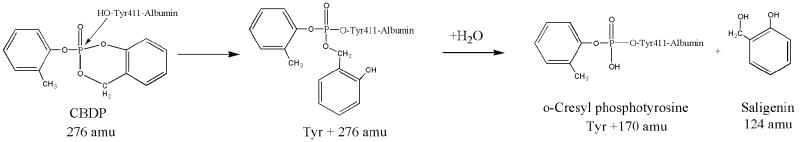 Scheme 3