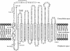 FIG. 7.