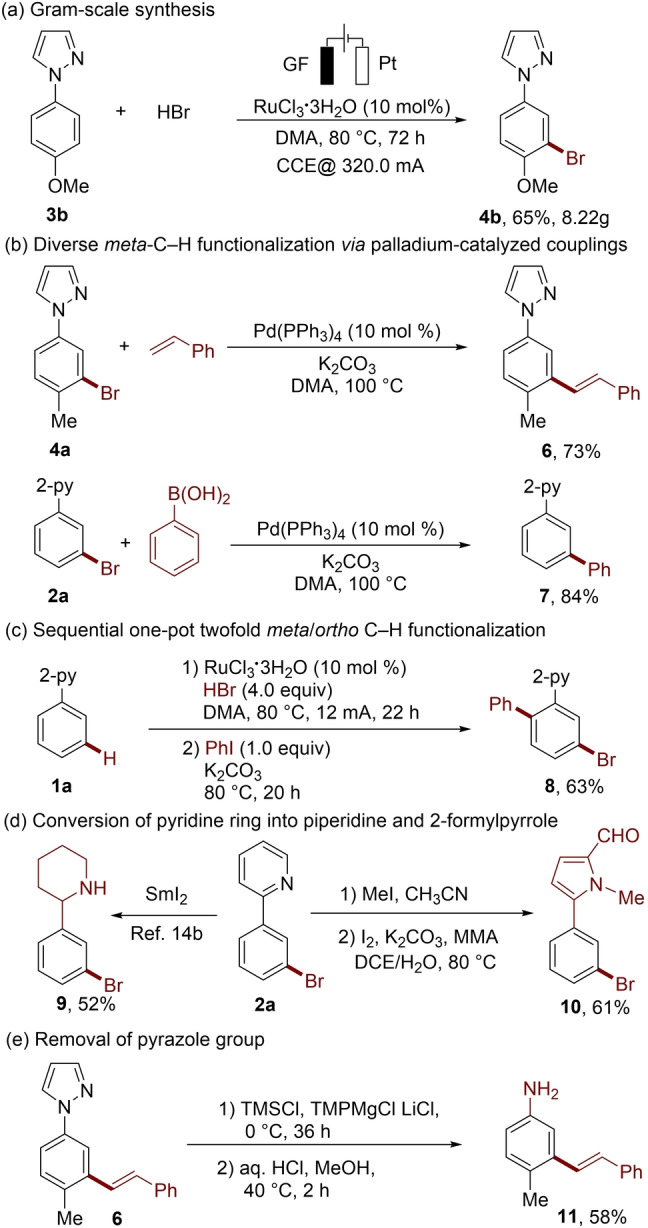 Scheme 4