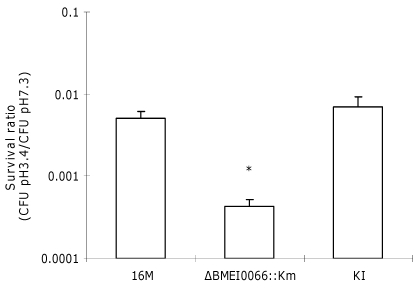 FIG 2