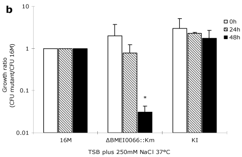 FIG 3