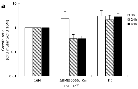 FIG 3