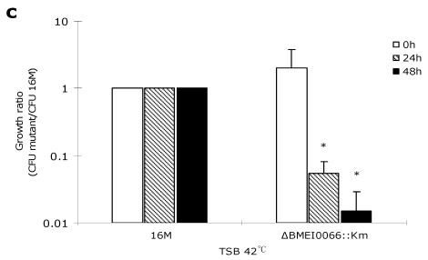 FIG 3