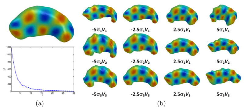 Fig. 5