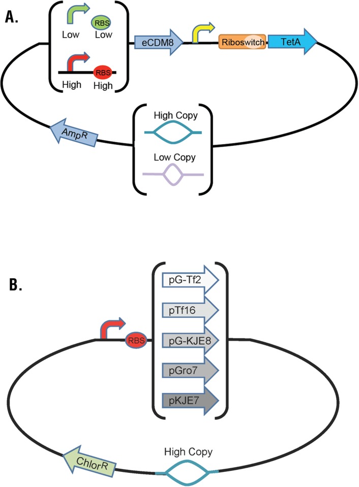 Fig 6