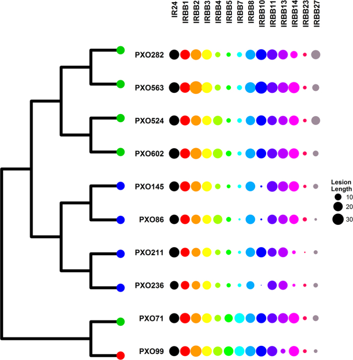 Figure 5