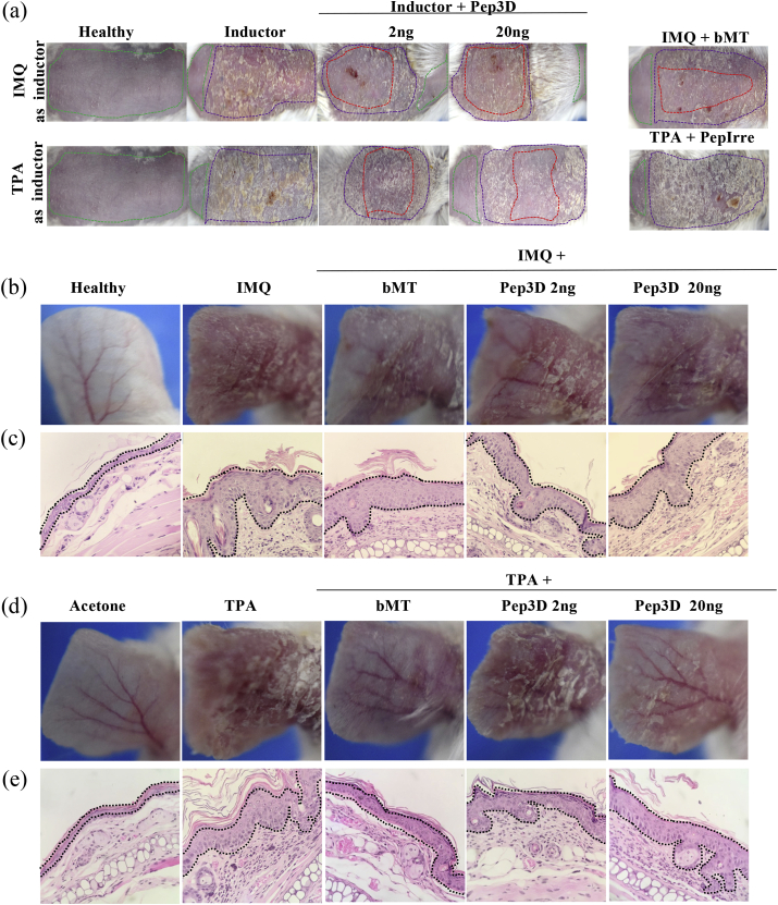 Figure 3