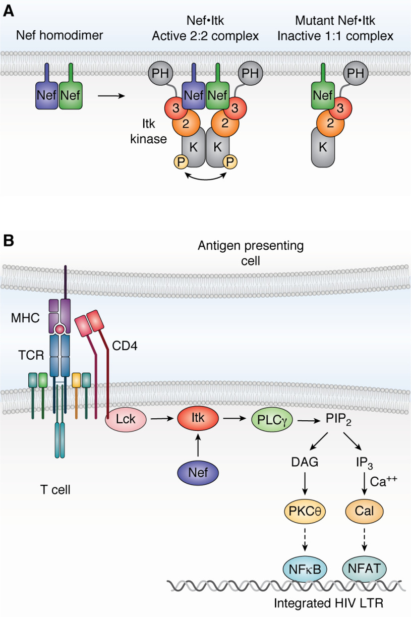 Figure 4.