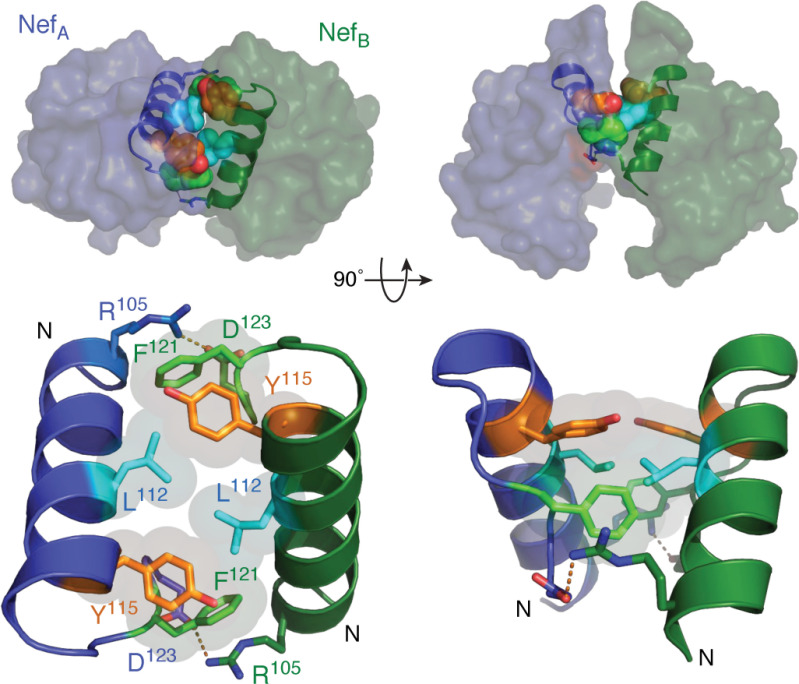 Figure 5.