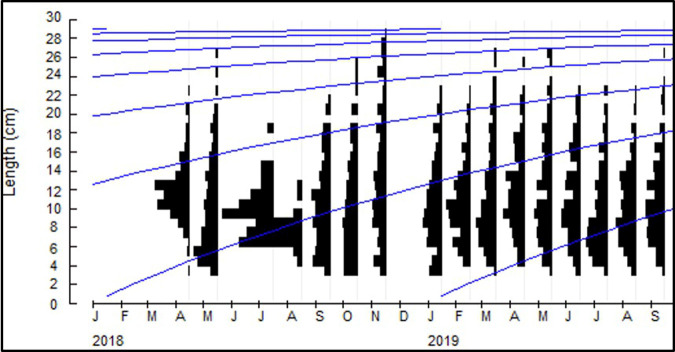 Fig. 4.