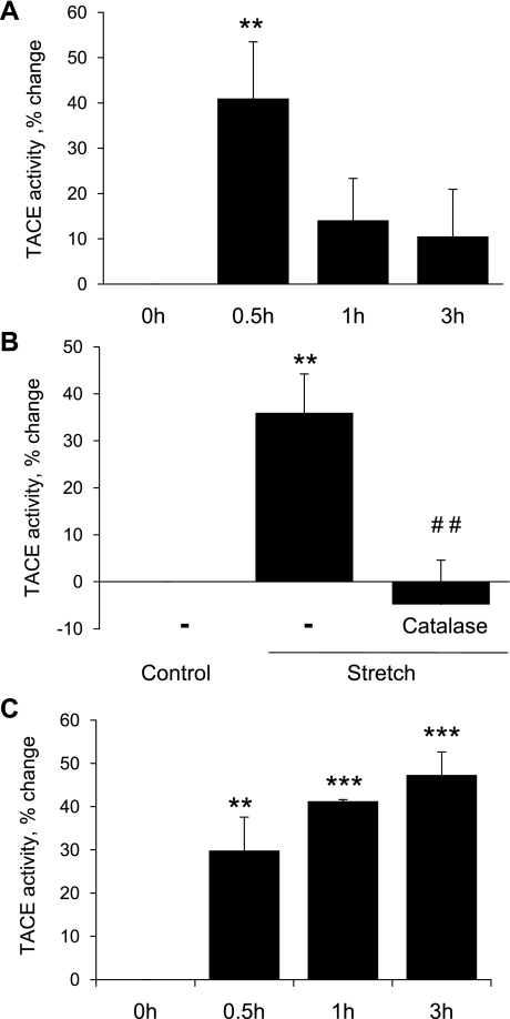 Fig. 10.