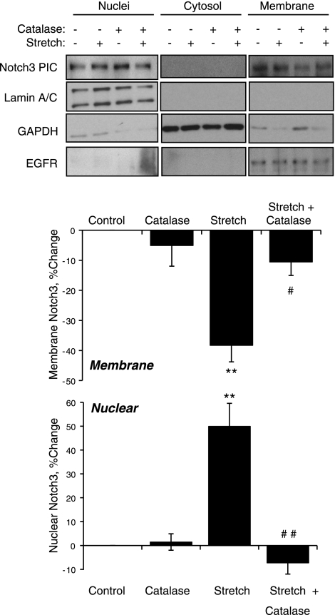 Fig. 9.