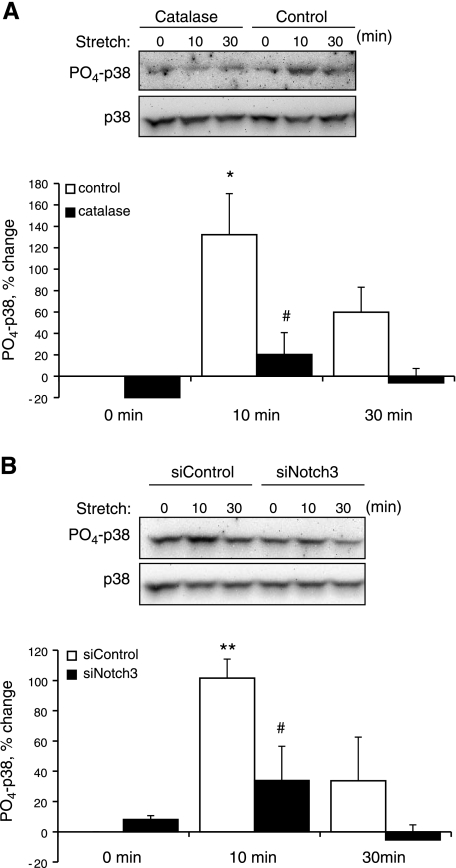 Fig. 11.