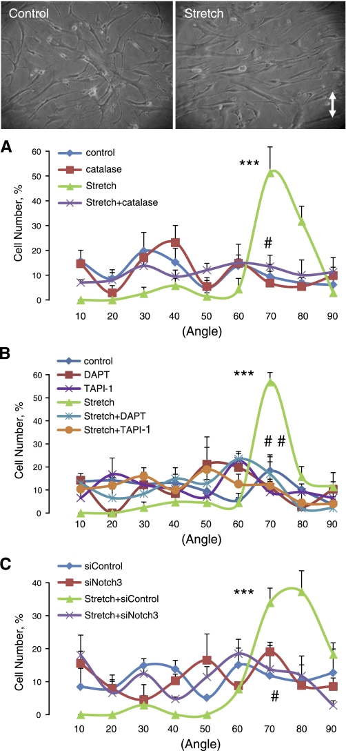 Fig. 12.