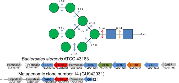 FIGURE 1.