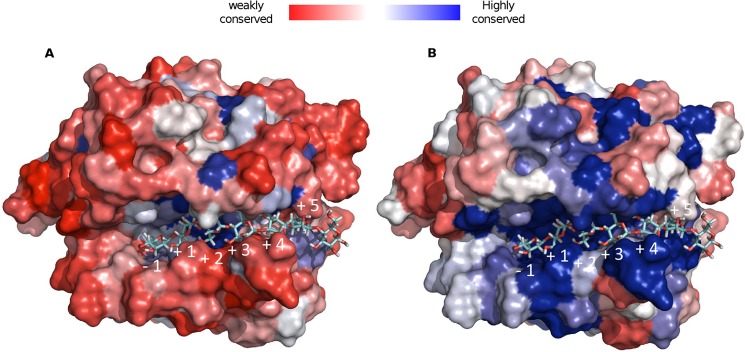 FIGURE 7.