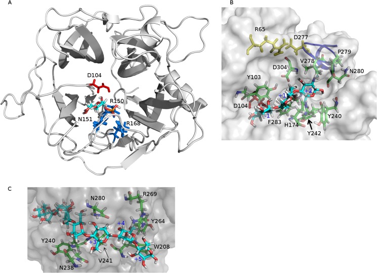 FIGURE 4.