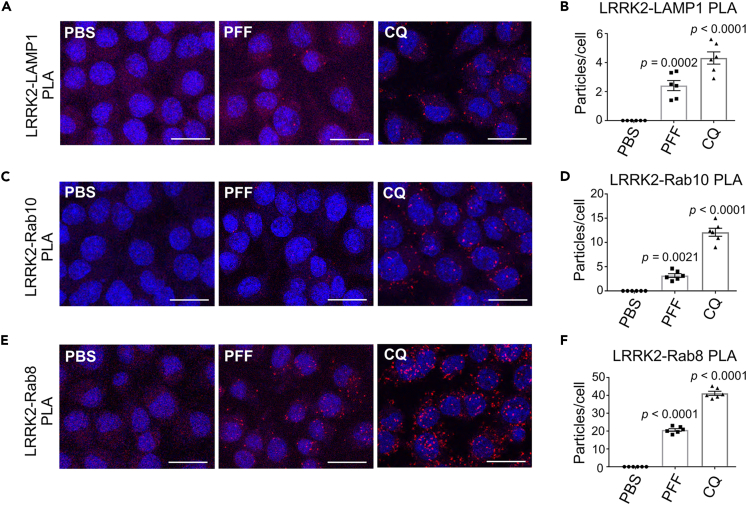 Figure 6