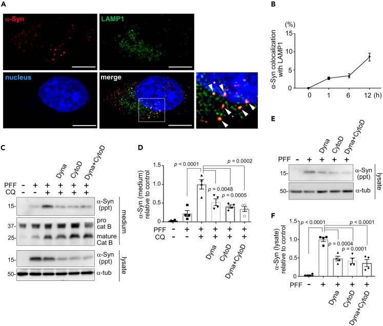 Figure 2