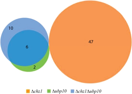 Figure 7.