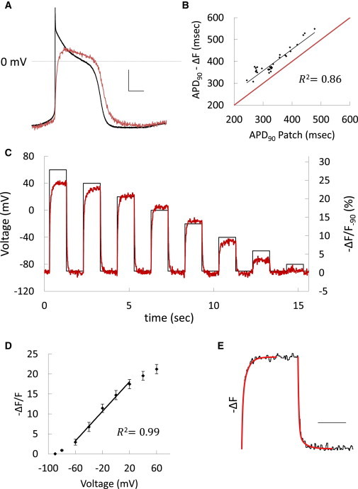 Figure 2