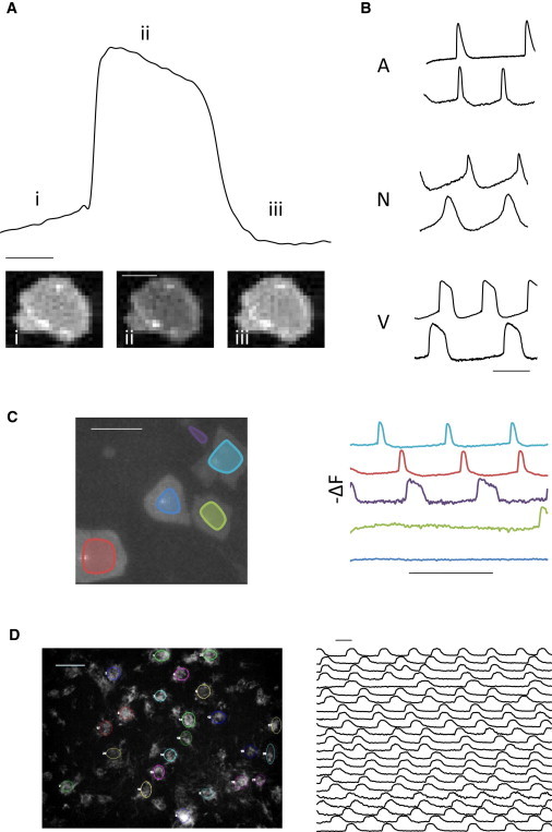 Figure 1