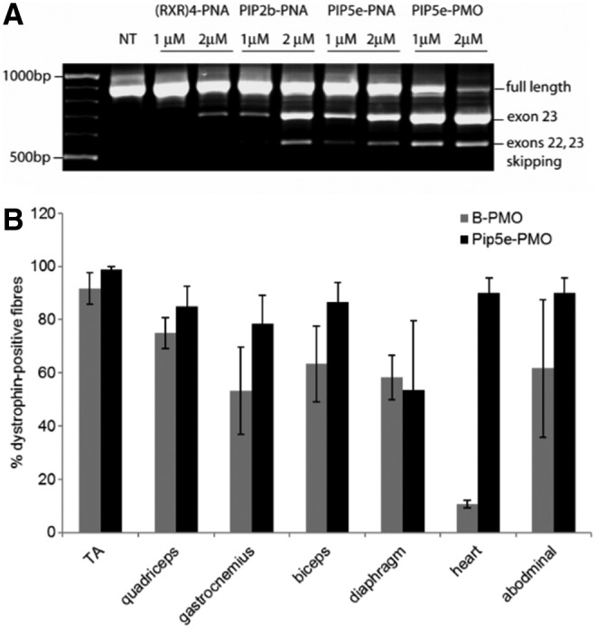 FIG. 6.