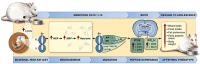 Figure 10.