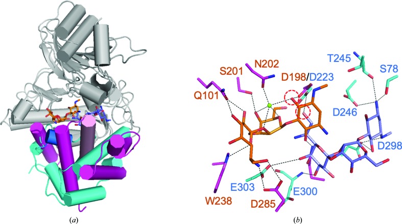 Figure 6