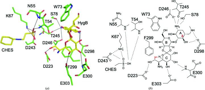 Figure 4