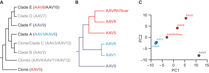 Figure 5