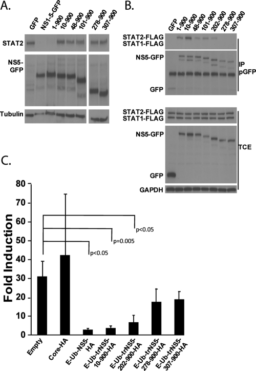 FIG. 6.