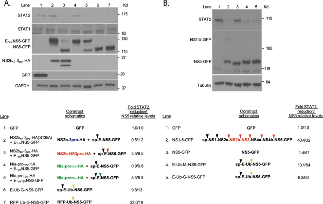 FIG. 4.