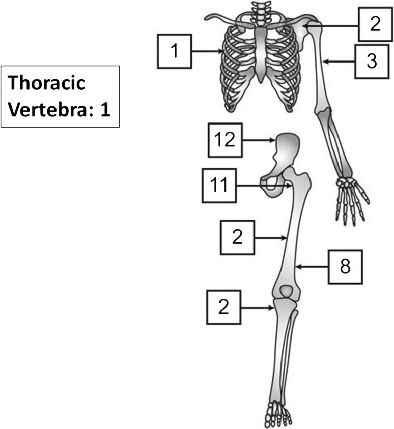 Fig. 2