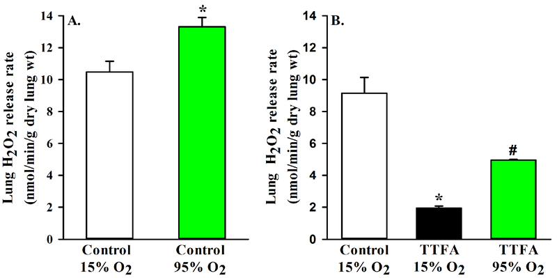 Figure 5: