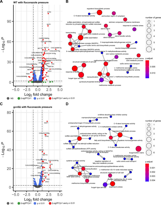 FIG 6