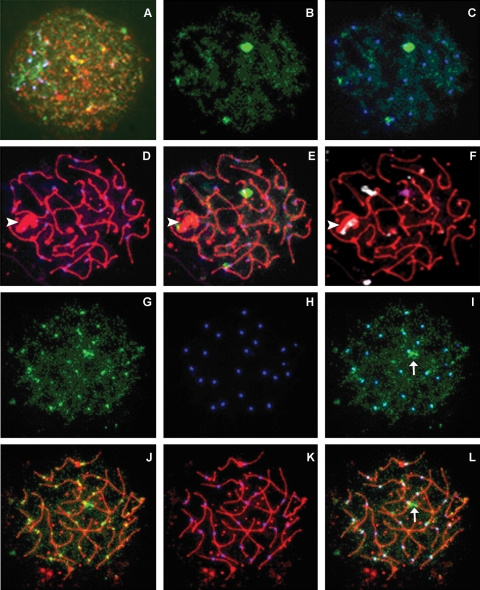 Figure 3: