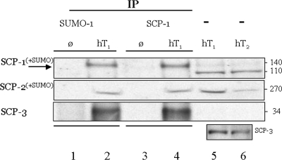 Figure 2: