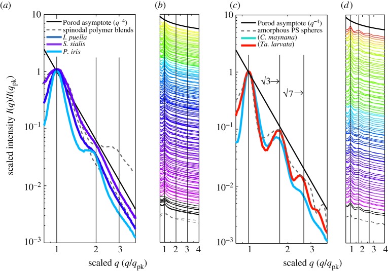 Figure 5.