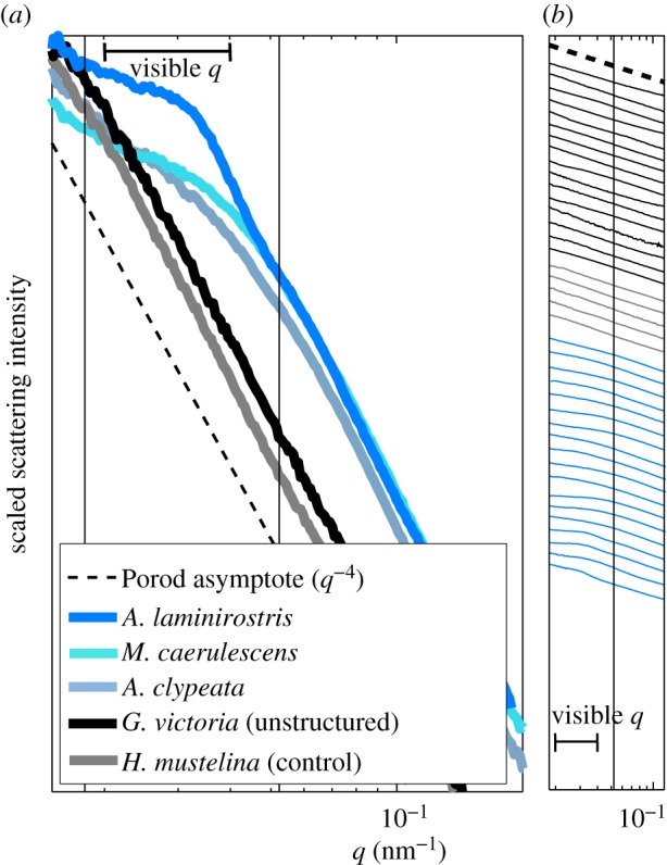 Figure 4.